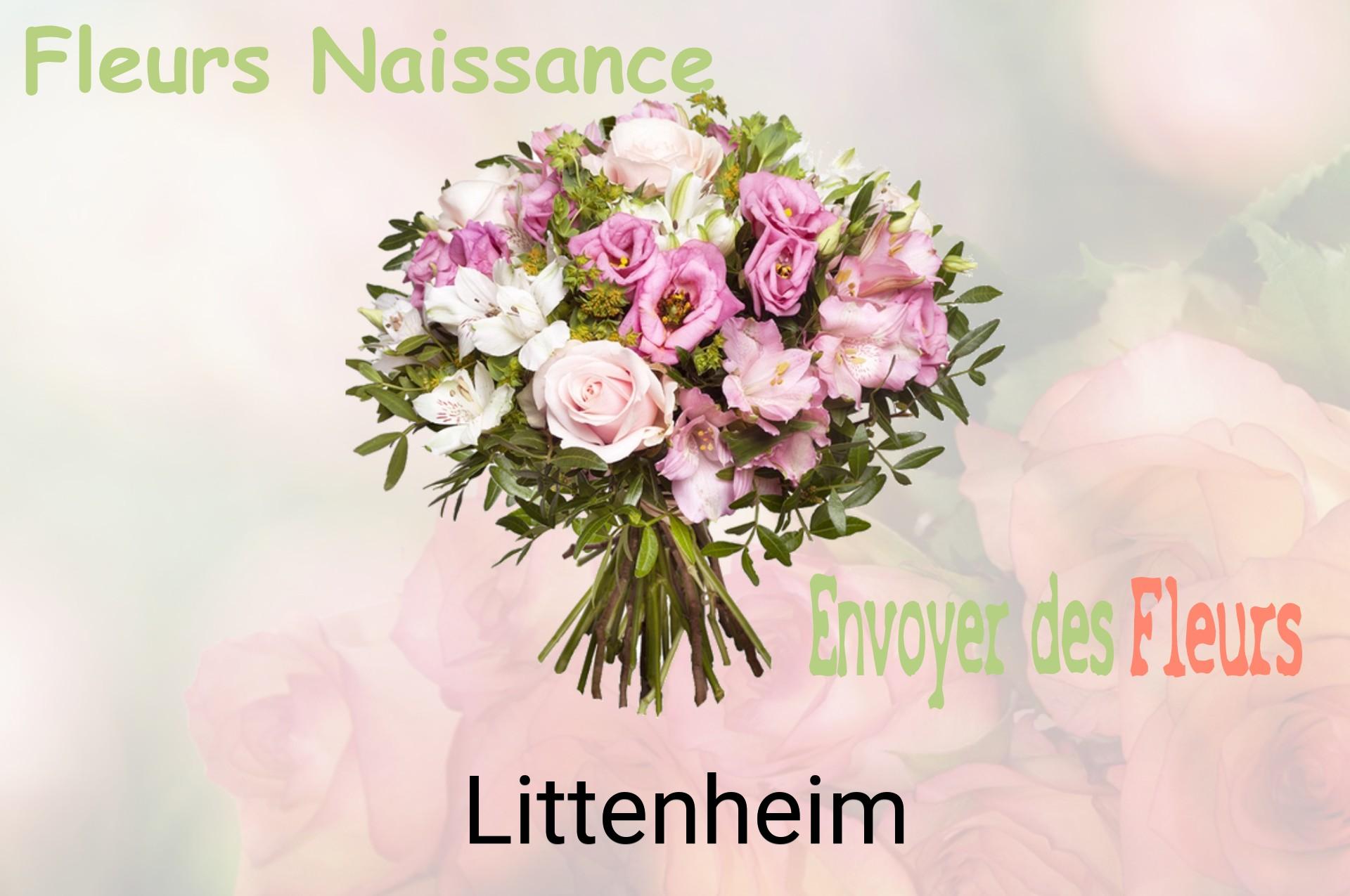 Bouquet de fleurs de naissance livré à Littenheim